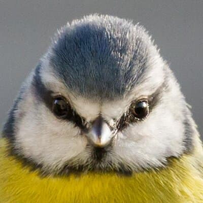 Michael G Devereux profile