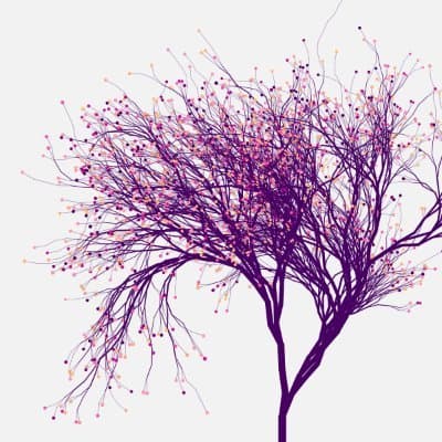 Gustavo Pitombo profile