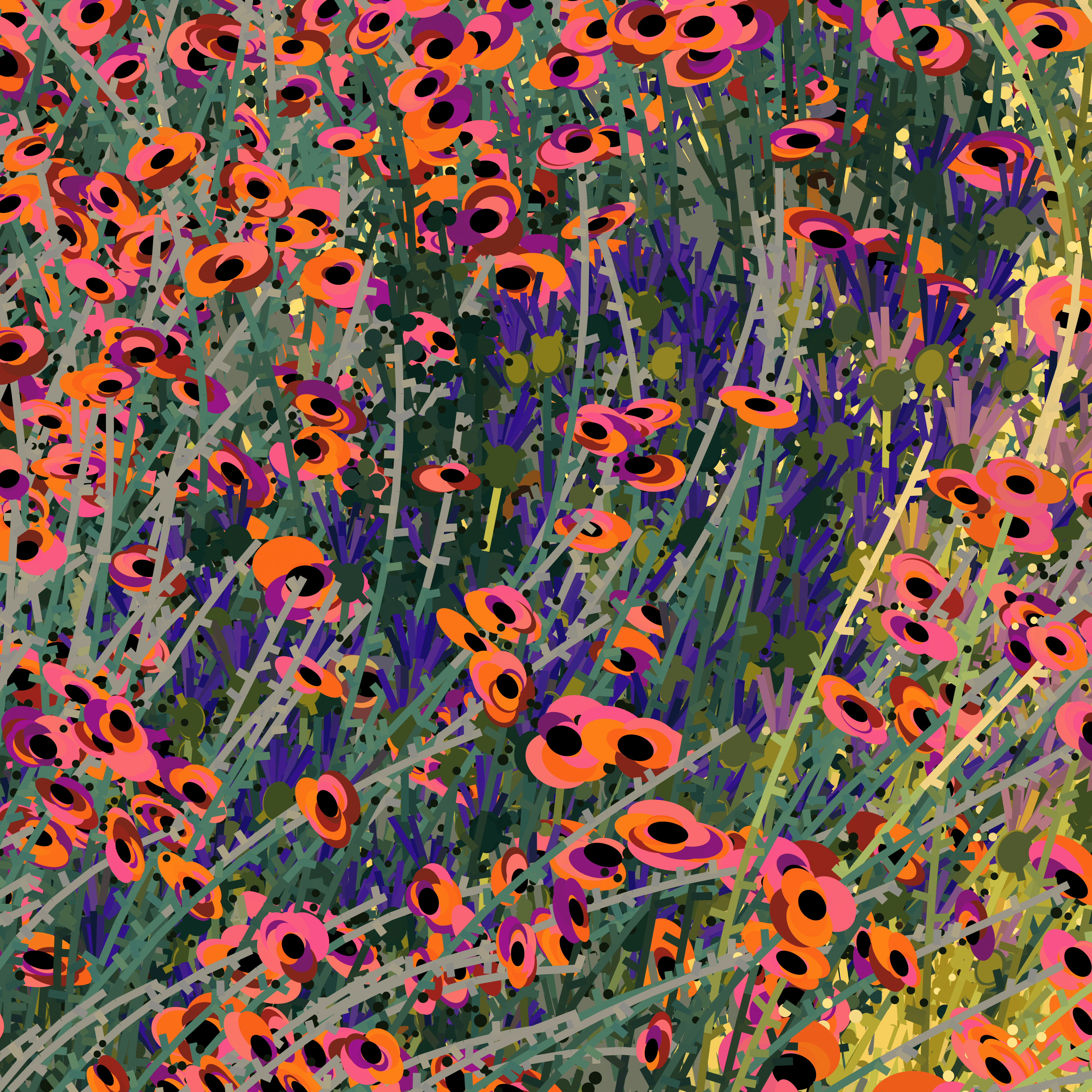 Nat Sarkissian profile